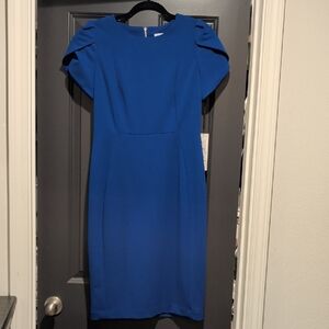 Calvin Klein Royal Blue Midi Dress